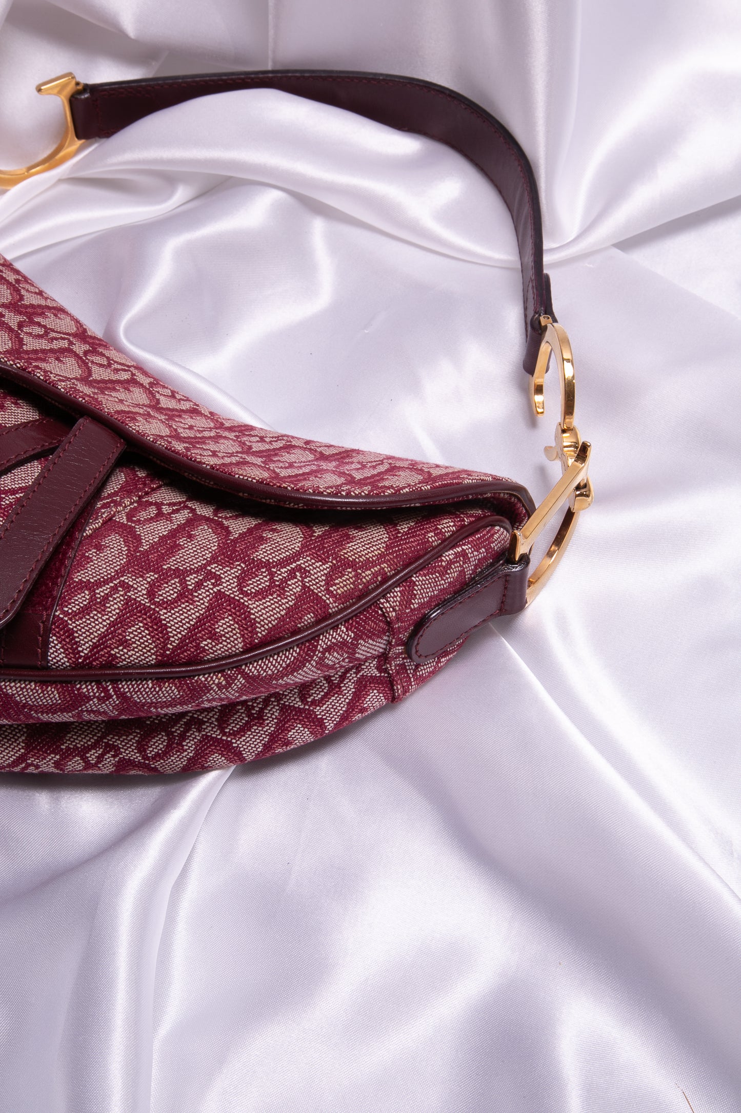 CHRISTIAN DIOR Monogram Saddle Bag