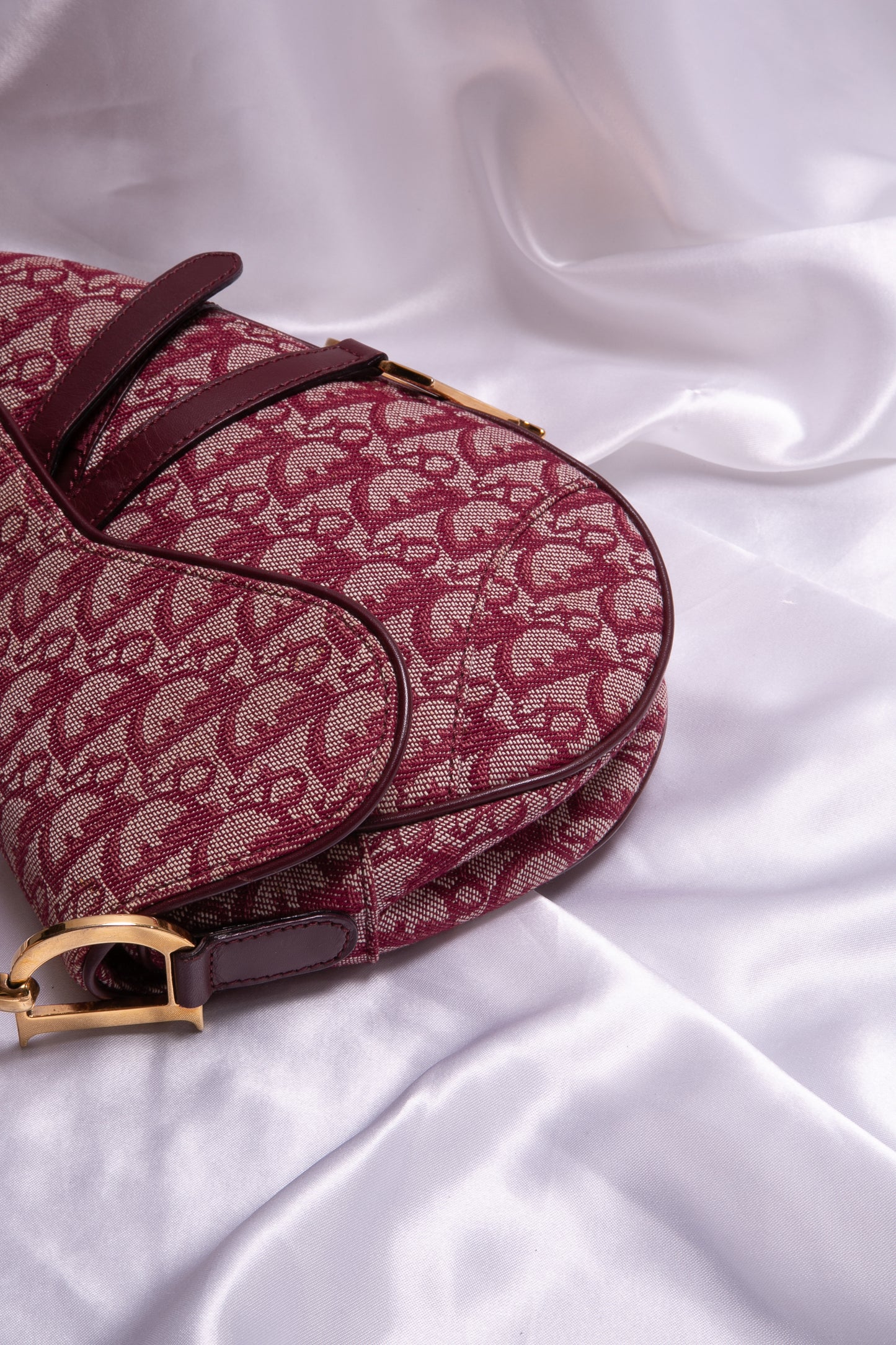 CHRISTIAN DIOR Monogram Saddle Bag
