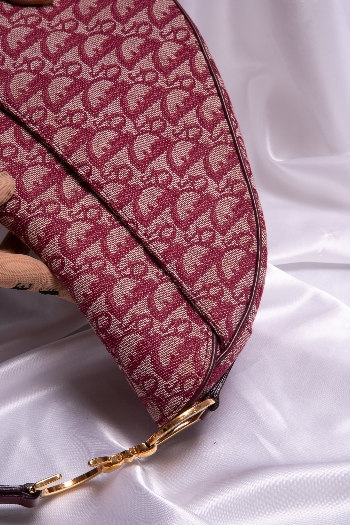 CHRISTIAN DIOR Monogram Saddle Bag