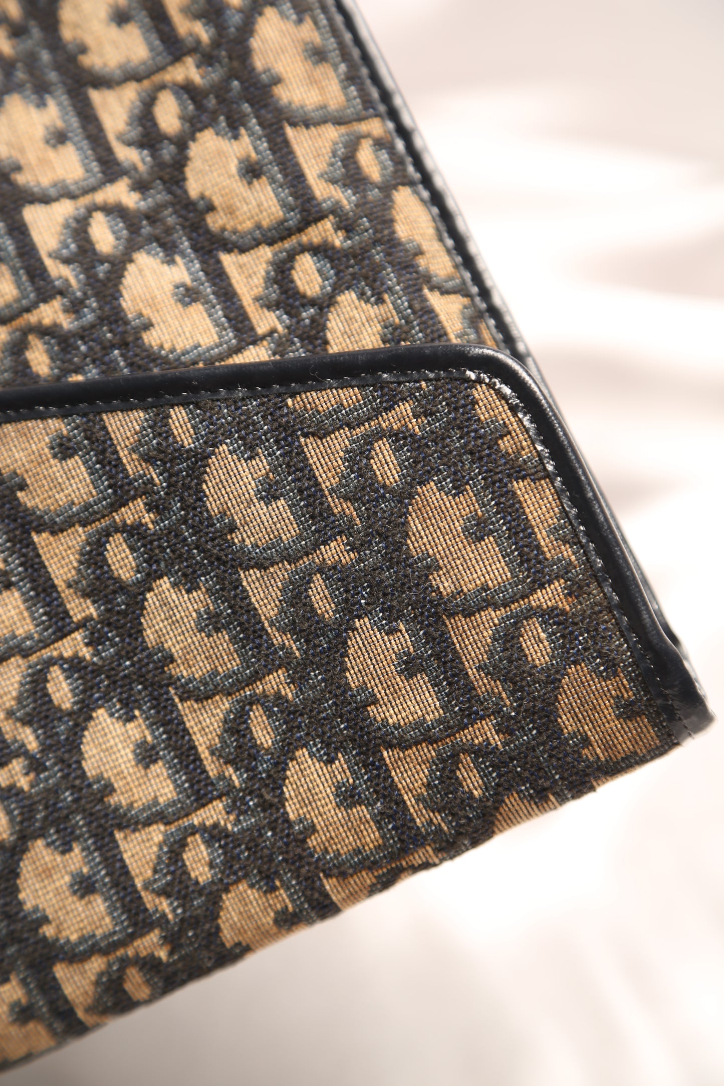 CHRISTIAN DIOR Trotter Clutch