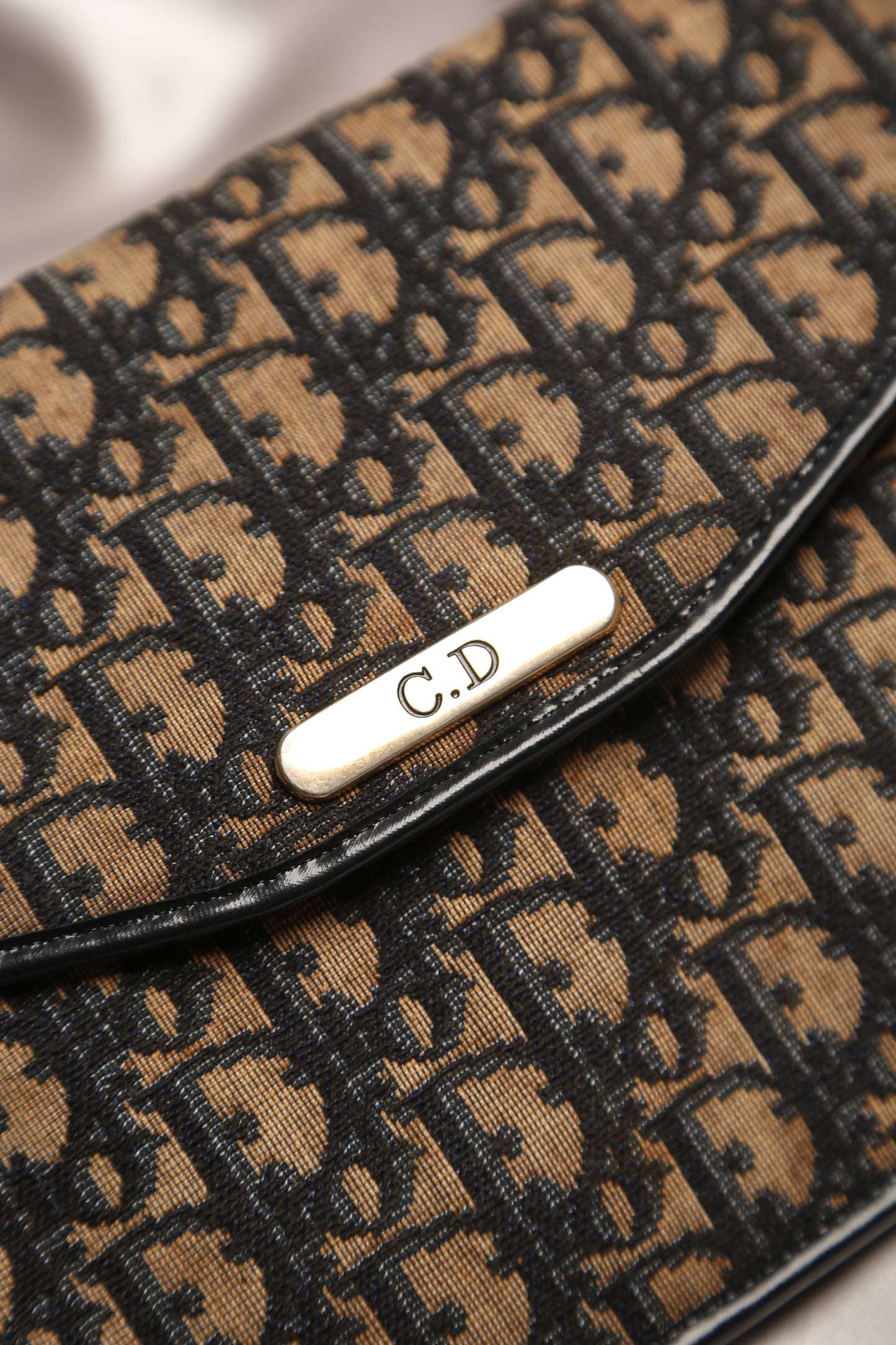 CHRISTIAN DIOR Trotter Clutch