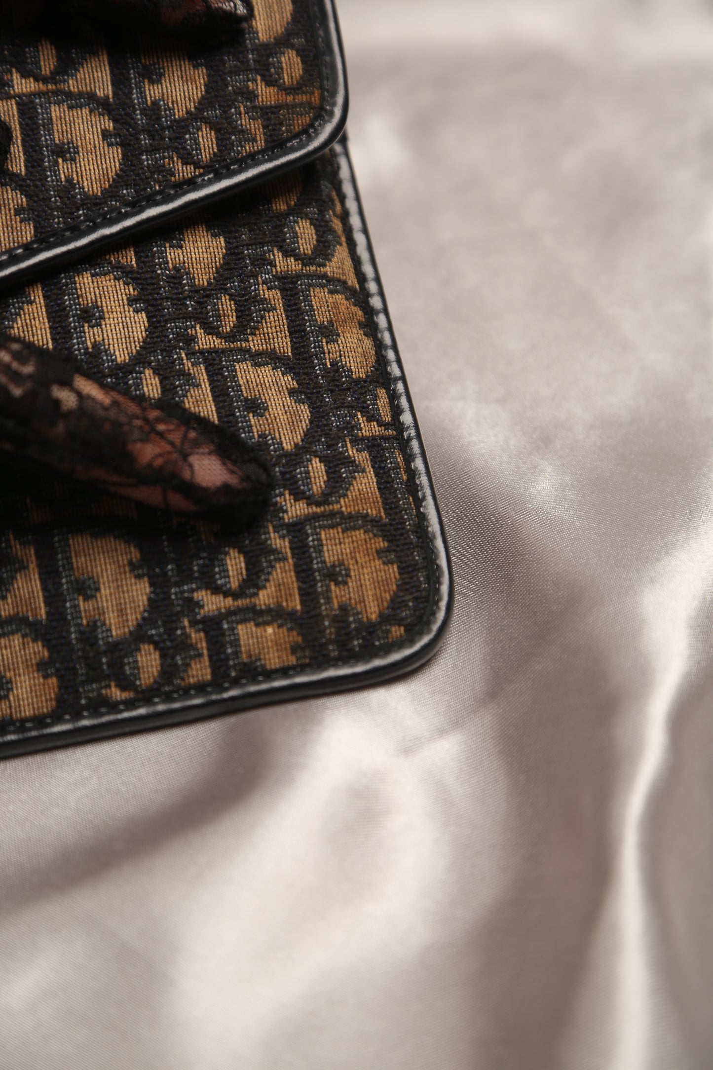 CHRISTIAN DIOR Trotter Clutch