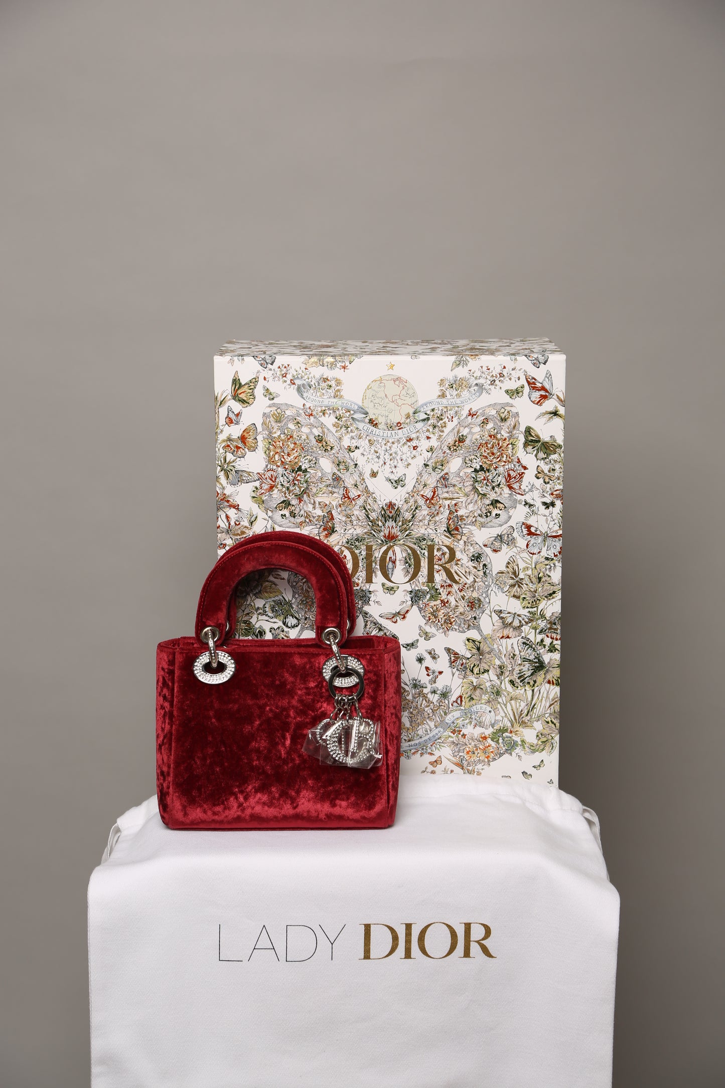 Extremely Rare Lady DIOR Velvet Bag