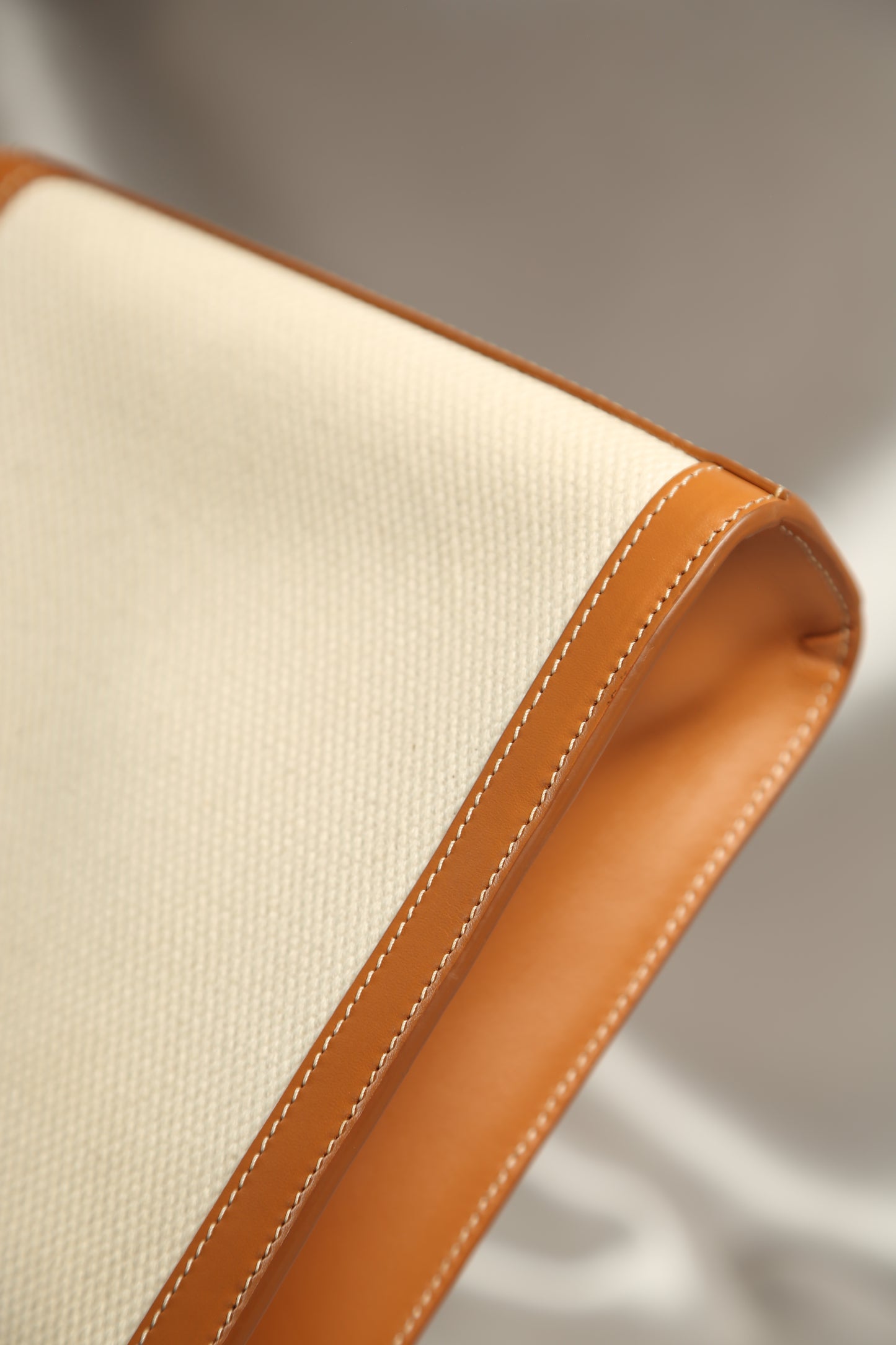 CELINE Canvas Crossbody Bag