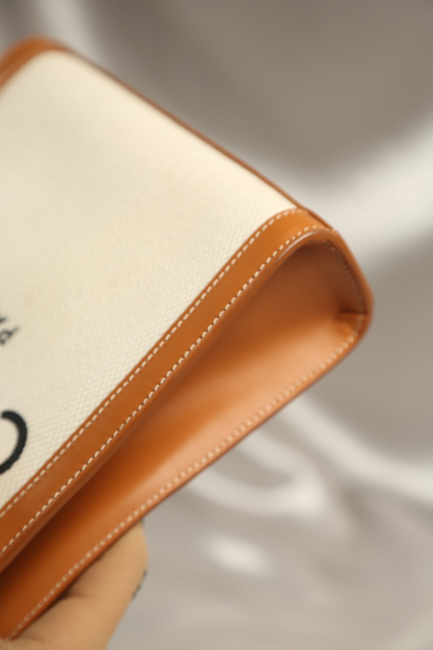 CELINE Canvas Crossbody Bag