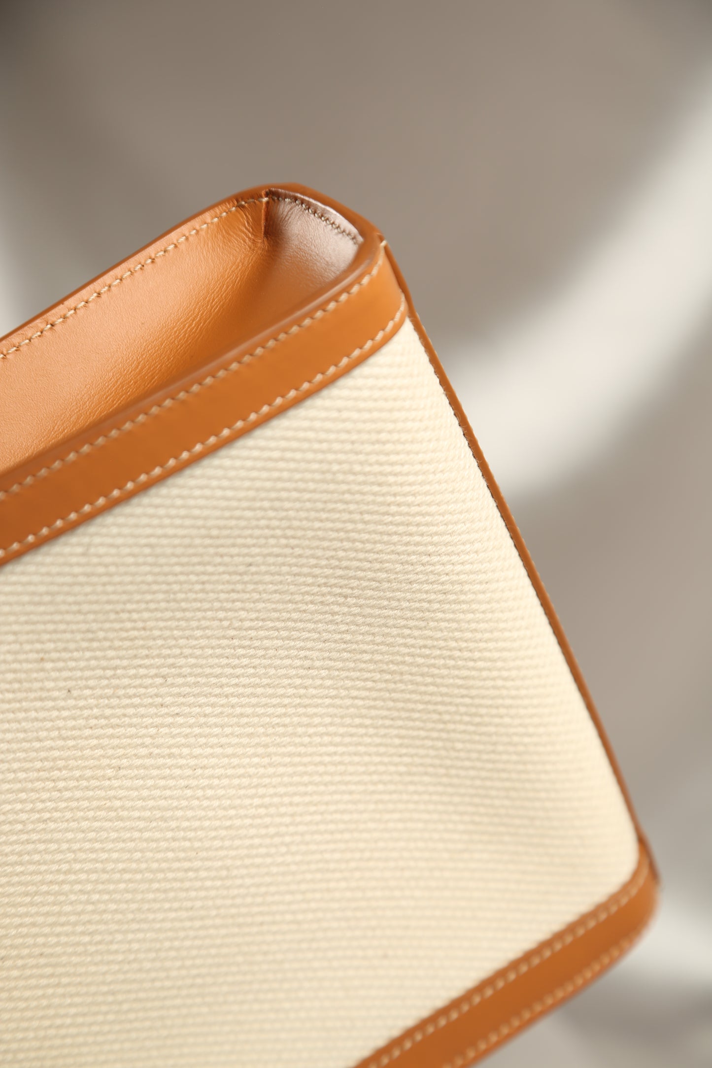 CELINE Canvas Crossbody Bag