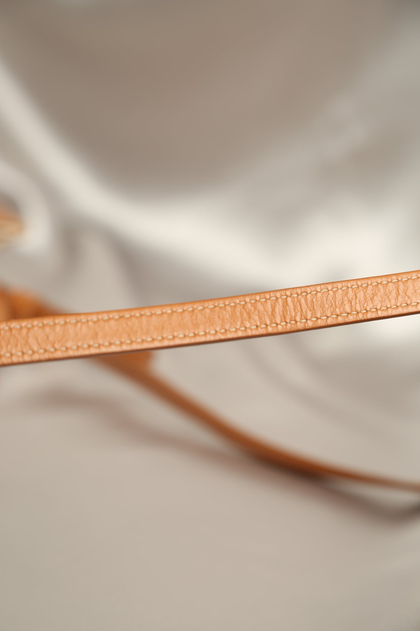 CELINE Canvas Crossbody Bag