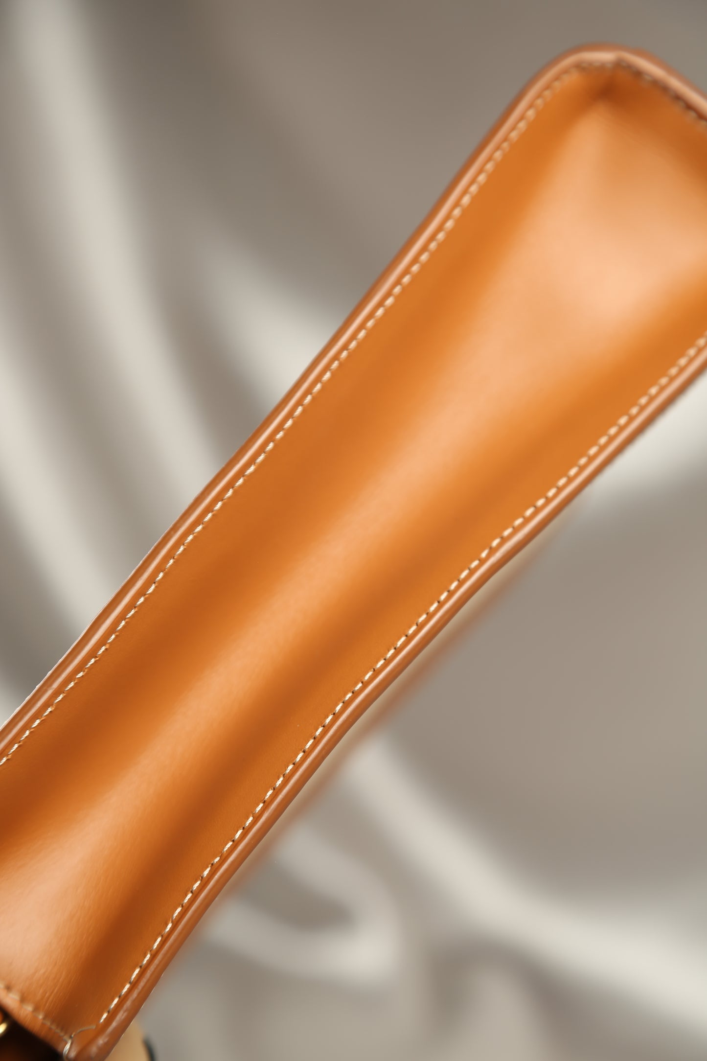 CELINE Canvas Crossbody Bag