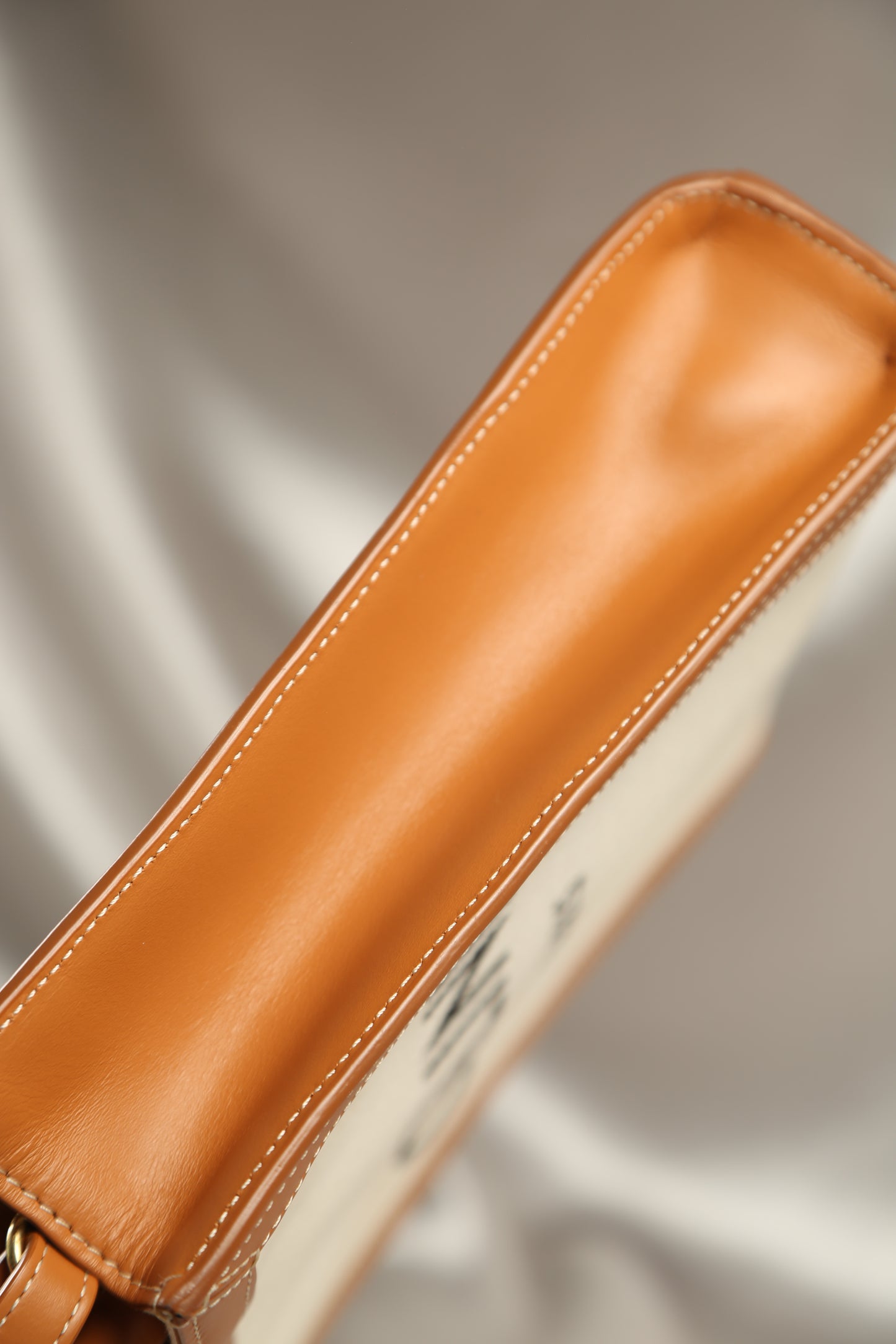 CELINE Canvas Crossbody Bag